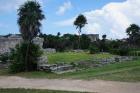 DSC08361.JPG