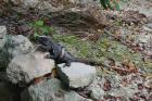 DSC08355.JPG