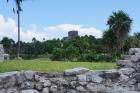DSC08358.JPG