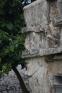 DSC08421.JPG