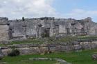 DSC08430.JPG