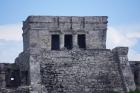 DSC08387.JPG