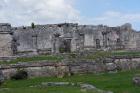 DSC08429.JPG