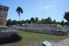 DSC08357.JPG