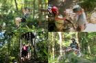 .%2FMaya%20Jungle