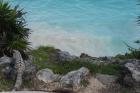 DSC08450.JPG
