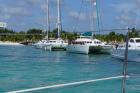 DSC08323.JPG