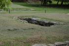DSC08406.JPG