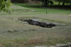 DSC08405.JPG