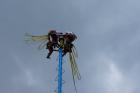 DSC08343.JPG