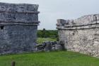DSC08439.JPG