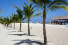 DSC08332.JPG