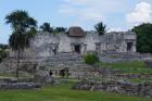 DSC08397.JPG