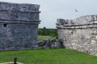 DSC08437.JPG