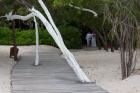 DSC07611.JPG