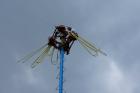 DSC08340.JPG