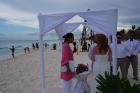 DSC07720.JPG