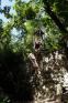 DSC08338.JPG