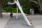 DSC07613.JPG