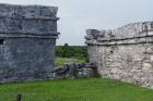 DSC08440.JPG