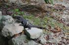 DSC08354.JPG